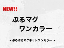 アムールネイル 新宿西口店(Amour Nail)/ぷるマグワンカラー