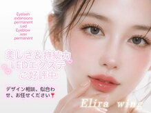 エリラ ウィング 自由が丘(Elira Wing)
