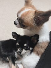 レアレア(le'a le'a)&nbsp;asumi 