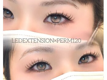 アリィ 国立店(Ali'i)/パーマ×エクステ