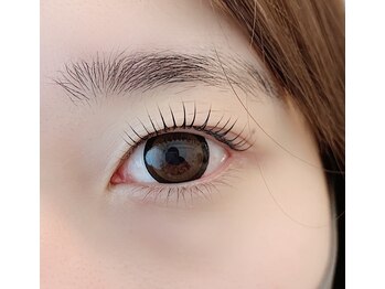 ベージュロータス(beige lotus)/パリジェンヌラッシュリフト