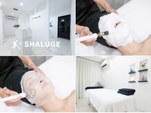 ビシェルジュ(SHALUGE)