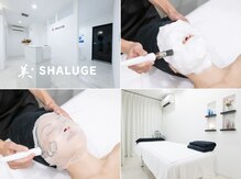 ビシェルジュ(SHALUGE)