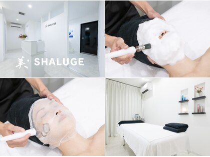 ビシェルジュ(SHALUGE)の写真