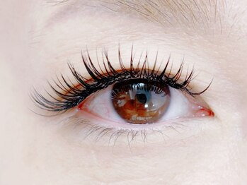 ウィキラ(WIKIRA)/セーブル200本