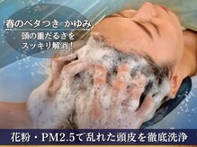 海ここち