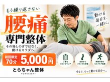 とらちゃん整体