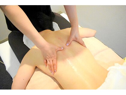 ヒトヤスミ(一休)の写真