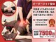 津田沼中央接骨院の写真