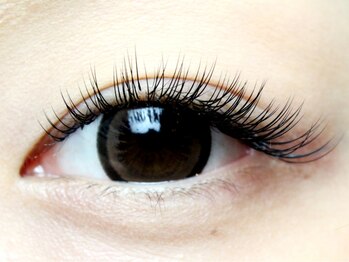 ラッシュワン 四条店(Lash One)/■まつ毛エクステ