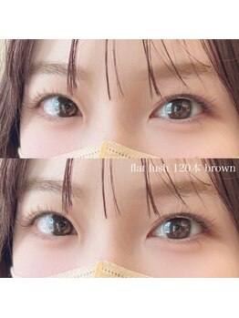 ノーチェ(noce)/フラットラッシュ120本brown