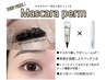 【2回目以降】韓国で人気マスカラパーマ★ブラックトリートメント/¥5900/45分