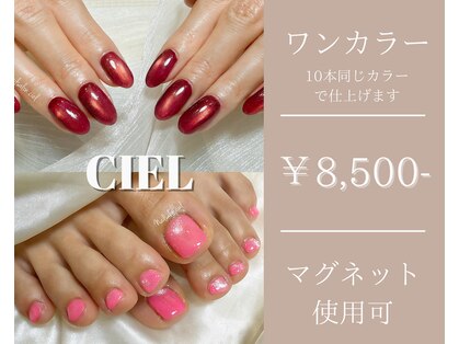 シエル(ciel)の写真