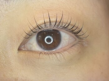 アイラッシュサロン ラコタ 銀座一丁目店(eyelash salon RACOTA)/ラッシュリフト