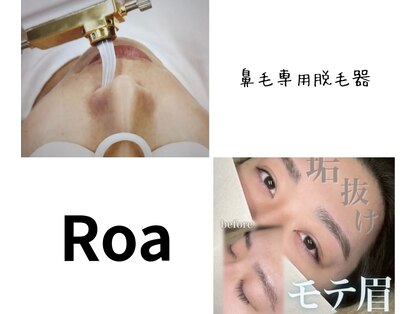 ロア(Roa)の写真