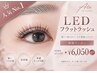 【本日限定】自然な仕上がり◇LEDフラットラッシュ120本　￥7150→￥6050