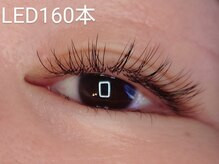 アポストロフィエス/LEDフラットラッシュ160本