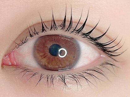 ミヤビ(MIYABI)の写真