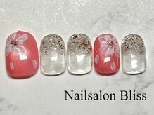 ネイルサロンブリス(nail salon Bliss)/定額シンプルアートコース￥5500