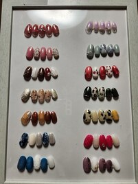 定額アートＢコース