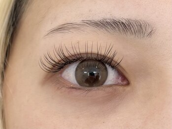 アイラッシュサロン ウインクル(Eyelash Salon Winkle)/LEDエクステ