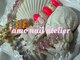 アモネイルアトリエ('amo nail atelier)の写真