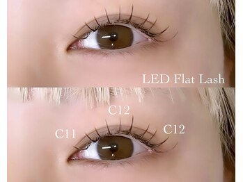 アミー 渋谷店(amii.)/LED まつ毛エクステ
