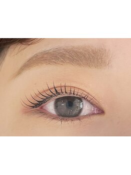 初めての方にオススメ