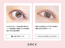 根元からしっかりと立ち上げる【パリジェンヌ】はance姫路店へ♪