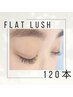 12月限定♪【ぱっちりかわいい◎】オフ込/フラットラッシュ 120本