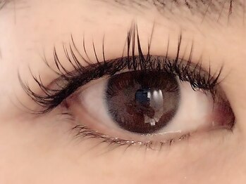 カラン 焼津店(CALIN)/フラットラッシュ120本