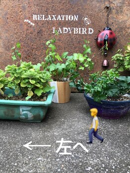 レディバード(Lady Bird)/