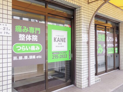 カーネ(KANE)の写真