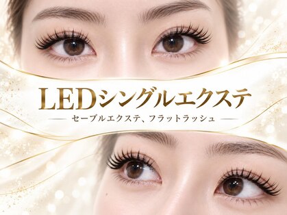 フレイヤ(Freiya)の写真