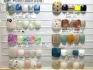 フット★定額Bコース