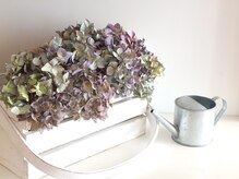 ボディスリム/紫陽花のドライフラワー