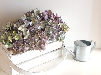 ボディスリム/紫陽花のドライフラワー