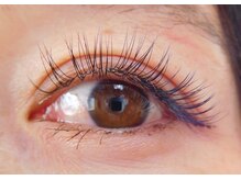 スンダリ(Sundari)/セーブル120本♪