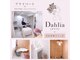 ダリア(Dahlia)の写真