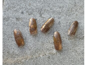 ツリーハウスネイル(tree house nail)/ハンド定額¥5900