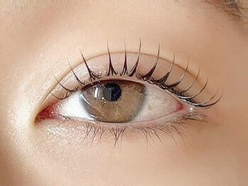 ディーエル ビューティー 府中店(DL BEAUTY)の写真/寝起きからかわいい目元に♪まつ毛パーマ6,160円パリジェンヌ・韓国発マスカラパーマ・束感が人気!全席個室