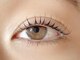 ディーエル ビューティー 府中店(DL BEAUTY)の写真/寝起きからかわいい目元に♪まつ毛パーマ6,160円パリジェンヌ・韓国発マスカラパーマ・束感が人気!全席個室