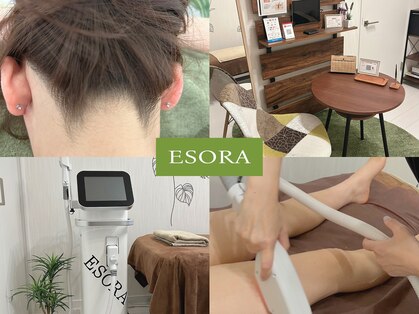 エソラ(ESORA)の写真