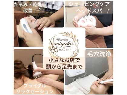 ミヤコ(Miyako)の写真