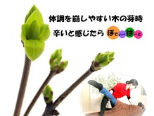 リラクゼーションサロン ぼでぃーはーと/