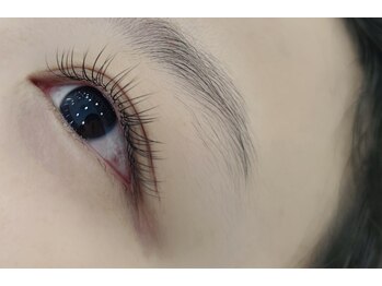 サロンドルネ(Salon De Rene)/フラットラッシュ120本