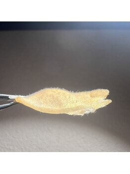 シェリ(Cheri)/部分パーツワックス！