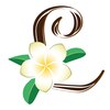 バリスパ ラヒル(Bali Spa Lahir)ロゴ