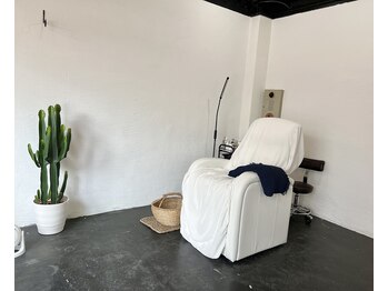 ハオルチア(Haworthia)/プライベート空間