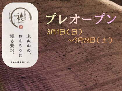 穂(みのり)の写真